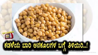 Benefits of White Chickpea / Kabuli Channa / Kabuli Kadale husli | Kannada Health Tips