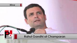 At Chamaparan, Rahul Gandhi accused PM Modi of not fulfilling his poll promises Politics Video