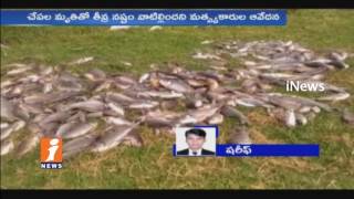 Fishers Concern On Fishes Dead At Taramati Village Pond In Rangareddy | Telangana | iNews