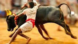 Jallikattu bill tabled, passed within minutes in TN assembly