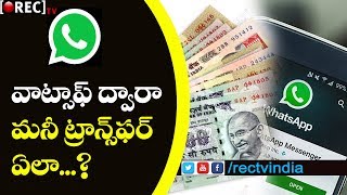 Now We Can Transfer Money Using Whats-App | Latest Whats-app Updates | RECTVINDIA