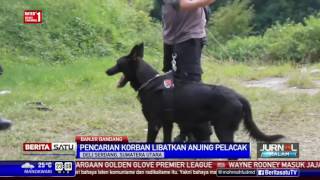 Pencarian Korban Banjir Bandang Libatkan Anjing Pelacak