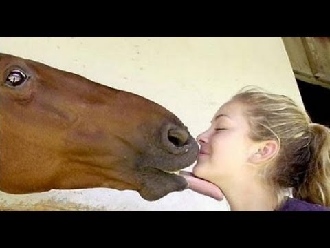 How to take care of  a horse - A horse kisses a girl - A girl with horse
