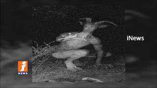 Aliens Type Animals Captures by CCTV in Jannaram Forest | Photos Viral on Social Media | iNews