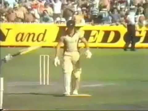 Australia best funny cricket winning last moment Funny Video
