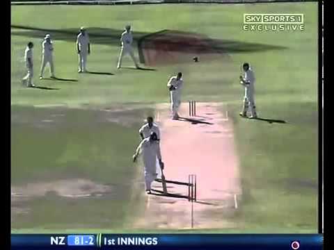 Makhaya Ntini to Scott Styris brutal bouncer - Cricket Classic Video