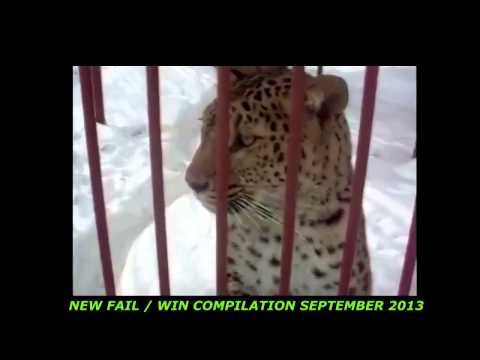 People Are Awesome 2014 (special edition) people are awesome 2014 (best edition hd) best o - Best Funny Video