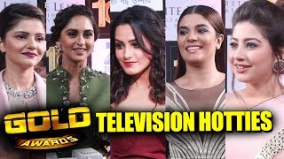 Television Hotties At 10th Gold Awards 2017 | Full Event