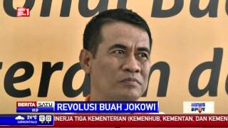 Revolusi Buah Jokowi